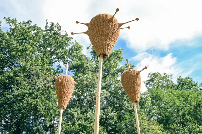 Sorties à Roanne, week-end des 5, 6 et 7 juin 2026