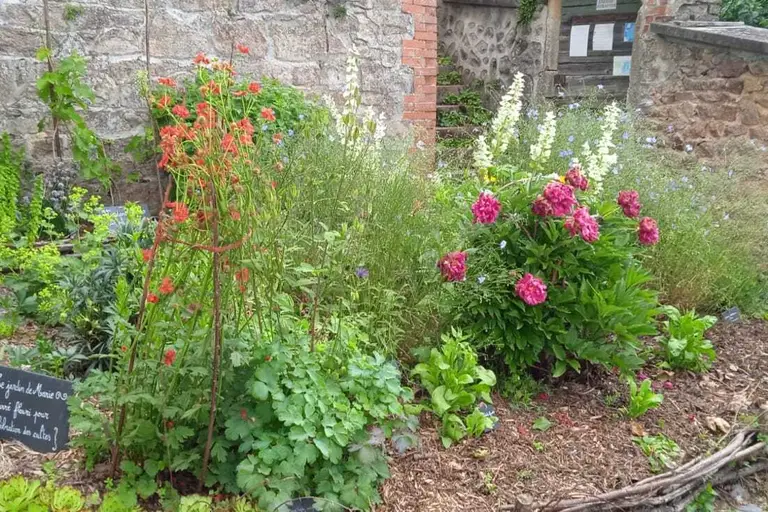 Visites guidées du jardin médiéval de La Chapelle de Mardore à Thizy-les-Bourgs