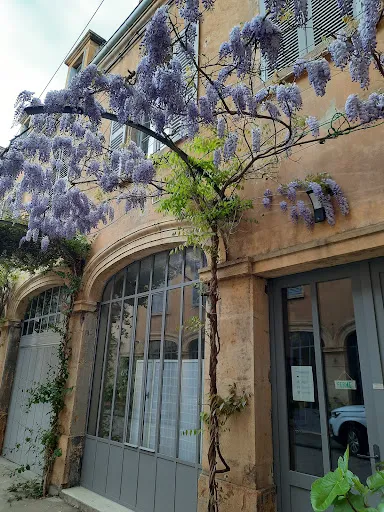 Agnes Perret | HARMONIE DU CORPS à Roanne