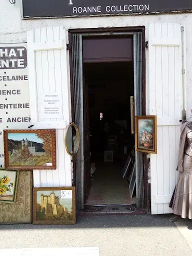 Antiquités Brocante à Roanne