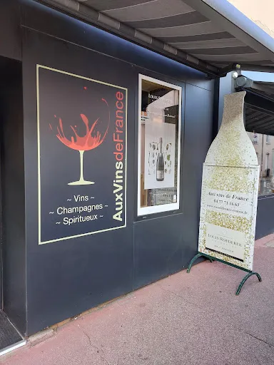 Aux Vins de France à Roanne