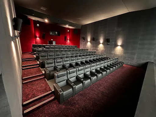 Cinéma Multiplexe le Grand Palais à Roanne