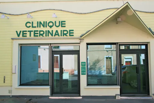 Clinique Vétérinaire Soubagné à Roanne