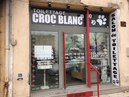 Croc Blanc à Roanne