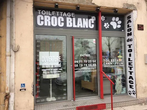 Croc Blanc à Roanne