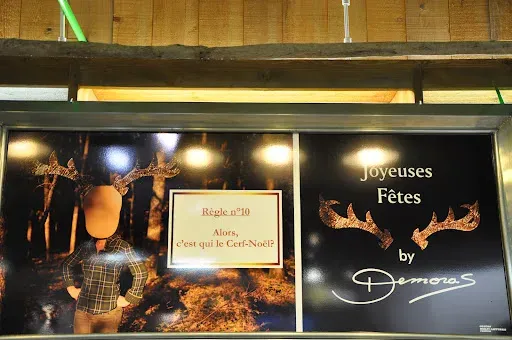 Demoras Fleuriste à Roanne