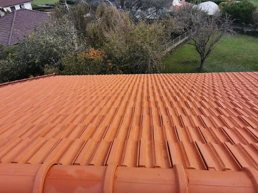 DUPUY TRAITEMENT - traitement charpente - isolation - nettoyage toiture à Roanne