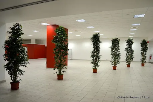 Espace Congrès à Roanne