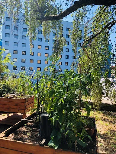 Groupe ACPPA - Le Pary à Roanne