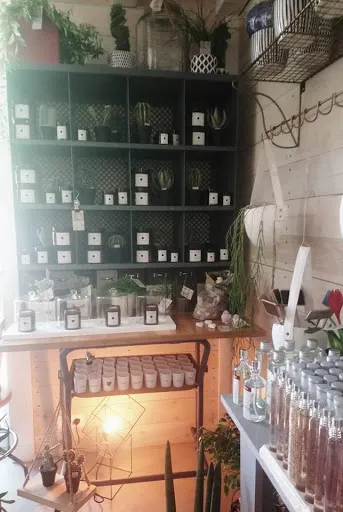 L'Armoire Fleuriste à Roanne