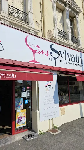 Les vins de Sylvain et autres Merveilles à Roanne