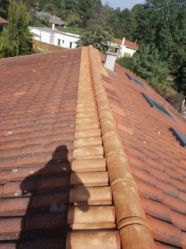 Muntz Anthony: Artisan couvreur Rénovation Réparation toiture Démoussage Décapage Peinture façade 42 Loire Roanne Firminy à Roanne