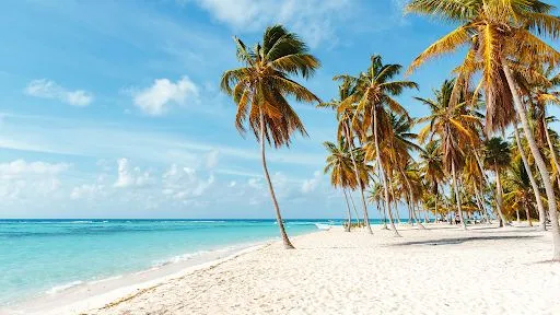 Prêt à Partir à Roanne