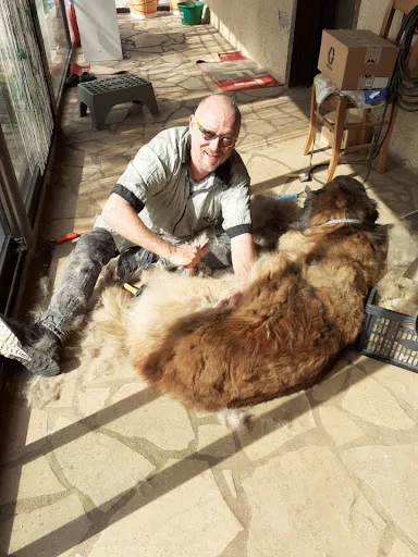 Richard le Toiletteur - L'Art des Chiens à Roanne