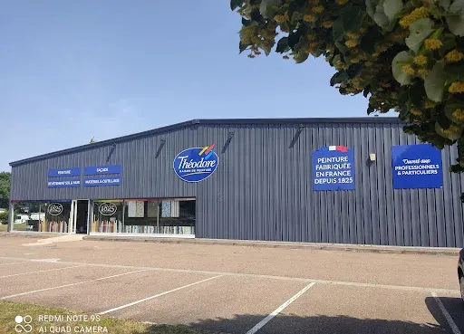 Théodore Maison de Peinture à Roanne