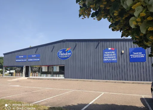 Théodore Maison de Peinture à Roanne