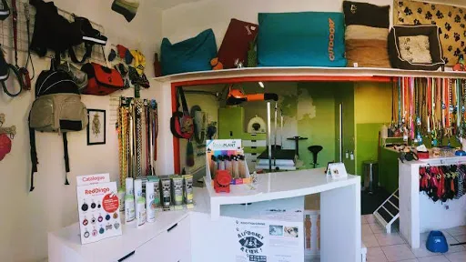 Toutou Clermont / Benessy Marina à Roanne